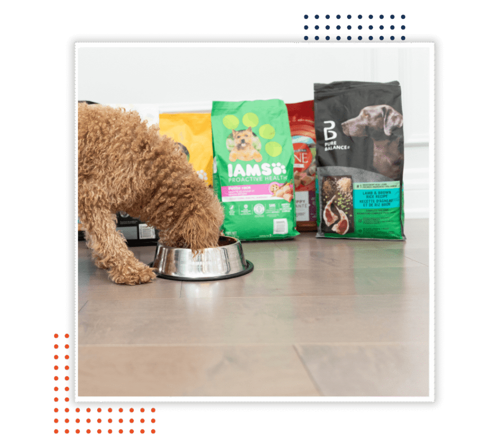 Pet Care Pet Food